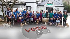 BBC - Vets 24/7: Series 2